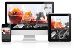 Responsive Websites